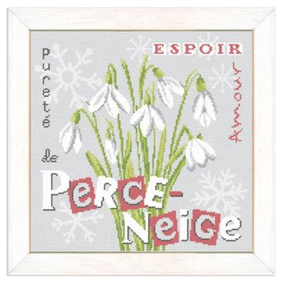 Perce-Neige